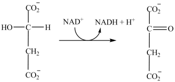 What is the classification of the reaction shown?   A) redox B) isomerization C) decarboxylation D) hydrolysis