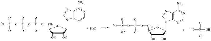 The reaction shown below requires the overall input of energy.  