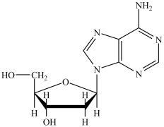 What is the name of the nucleoside shown?   A) hydroadenine B) deoxyadenosine C) deoxyguanosine D) hydroguanine