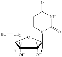 What is the name of the nucleoside shown?   A) uridine B) uridosine C) oxyuridine D) oxyuridosine