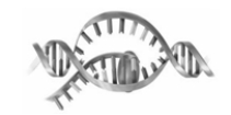 In the transcription  cartoon  shown, the direction of transcription is from right to left.  