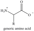 Amino acids are the building blocks of the body's proteins. Which statement concerning amino acids is false?   A) There are approximately 200 standard amino acids that occur naturally in the proteins of the human body. B) Except for when R=H, amino acids are chiral molecules. C) The amino acids found in human proteins are  alpha  amino acids. D) The properties of amino acids and the proteins they compose are determined by the nature of the side chain groups that are present.