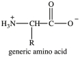 Amino acids are the building blocks of the body's proteins. Which statement concerning amino acids is false?   A) There are approximately 200 standard amino acids that occur naturally in the proteins of the human body. B) Except for when R=H, amino acids are chiral molecules. C) The amino acids found in human proteins are  alpha  amino acids. D) The properties of amino acids and the proteins they compose are determined by the nature of the side chain groups that are present.