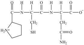 When the peptide below is hydrolyzed with water, the products are the amino acids proline, cysteine, and glutamine.  <div style=padding-top: 35px> 