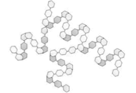 What type of polysaccharide is depicted in the  cartoon  shown below?   A) cellulose B) amylose C) amylopectin D) chitin