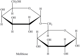 Melibiose is a carbohydrate found in some plant juices. Which statement concerning melibiose is incorrect?   A) It is a disaccharide. B) It is composed of two different monosaccharides. C) It contains both an acetal and a hemiacetal. D) It contains a 1 \rightarrow 5- \alpha -glycosidic linkage. 