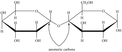 In the disaccharide structure shown, the anomeric carbons are properly labeled.  