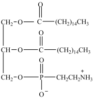 The compound below is a phospholipid classified as a lecithin.  