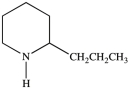Coniine, shown below, is an alkaloid extracted from poison hemlock. How is this nitrogen-containing compound most appropriately classified?   A) heterocyclic, primary amine B) secondary amine C) primary, heterocyclic amide D) lactam