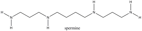 Spermine is a compound isolated from sperm. Which of the following statements correctly describes an aqueous solution of spermine?   A) The pH of the solution would be equal to that of pure water. B) The hydronium ion concentration in the solution would be greater than that in pure water. C) The hydroxide ion concentration in the solution would be greater than that in pure water. D) The solution would be acidic.