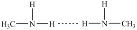 Hydrogen bonding between two methylamine molecules is indicated by the dotted line.  