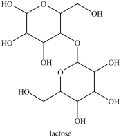 Lactose (structure shown)is the principal carbohydrate in milk. Lactose contains _____ acetal(s)and _____ hemiacetal(s).  