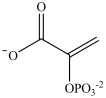 <strong>Alcohol dehydration reactions are important biological reactions. For example, 2-phosphogylcerate undergoes dehydration in the glycolysis pathway to produce phosphoenolpyruvate. Which structure represents the product that results when 2-phosphoglycerate is dehydrated? </strong> A) B) C) D)