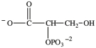Alcohol dehydration reactions are important biological reactions. For example, 2-phosphogylcerate (shown below) undergoes dehydration in the glycolysis pathway to produce phosphoenolpyruvate. Which structure represents the product that results when 2-phosphoglycerate is dehydrated?   A)    B)    C)    D)   