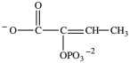 Alcohol dehydration reactions are important biological reactions. For example, 2-phosphogylcerate (shown below) undergoes dehydration in the glycolysis pathway to produce phosphoenolpyruvate. Which structure represents the product that results when 2-phosphoglycerate is dehydrated?   A)    B)    C)    D)   