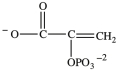 Alcohol dehydration reactions are important biological reactions. For example, 2-phosphogylcerate (shown below) undergoes dehydration in the glycolysis pathway to produce phosphoenolpyruvate. Which structure represents the product that results when 2-phosphoglycerate is dehydrated?   A)    B)    C)    D)   