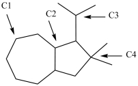 What is the classification of each labeled carbon atom in this structure?   A) C1 is a 1°, C2 is 2°, C3 is a 3°, and C4 is 4°. B) C1 is a 2°, C2 is 3°, C3 is a 3°, and C4 is 4°. C) C1 is a 1°, C2 is 2°, C3 is a 3°, and C4 is 1°. D) C1 is a 2°, C2 is 3°, C3 is a 2°, and C4 is 3°.