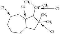 What is the classification of each labeled carbon atom in this structure?   A) C1 is a 1°, C2 is 2°, C3 is a 3°, and C4 is 4°. B) C1 is a 2°, C2 is 3°, C3 is a 3°, and C4 is 4°. C) C1 is a 1°, C2 is 2°, C3 is a 3°, and C4 is 1°. D) C1 is a 2°, C2 is 3°, C3 is a 2°, and C4 is 3°.