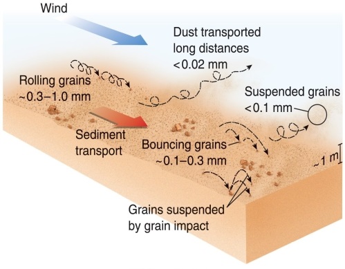 <strong>Figure 20.9 According to Figure 20.9 in your textbook, sediment grains that are about 0.1 to 0.3 millimeters will</strong> A) roll. B) bounce. C) be suspended. D) travel great distances.