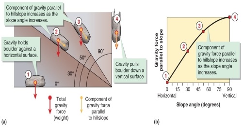 Figure 15.11   -Study Figure 15.11 in your textbook. At which minimum angle will the component of gravity that pulls a boulder downward be greater than the component of gravity that holds a boulder against a surface? A)  0 B)  30 C)  60 D)  90
