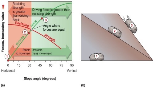 Figure 15.13   -At which minimum angle will the driving force become greater than the resisting force in a mass movement, according to Figure 15.13 in your textbook? A)  0 B)  32 C)  45 D)  60