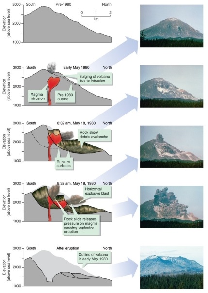 Figure 15.24   -Using Figure 15.24 in your textbook, what was the overall elevation change of Mount St. Helens' peak as a result of the 1980 eruption? A)  a decrease of 400 m B)  a decrease of 900 m C)  it stayed the same D)  an increase of 100 m
