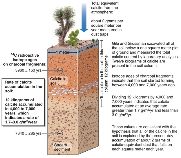 Figure 14.22   -Study Figure 14.22 from your textbook. Approximately how many grams of calcite accumulate in soils per year, according to Gile and Grossman's experiment? A)  0.2-0.8 B)  1.7-3.0 C)  4.2-5.9 D)  7.8-9.6
