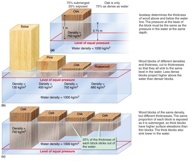 Figure 13.4   -Using Figure 13.4 in your textbook, if comparing equal-weight blocks of each substance, which one would be smallest? A)  mantle B)  continental crust (mostly granite)  C)  oceanic crust (mostly basalt)  D)  ocean (mostly water) 