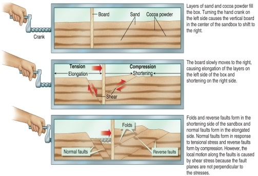 Figure 11.14   -In a sandbox with a crankable division, which of the following may be illustrated? A)  Normal faults fold in the area under compression and reverse faults form where the sand is pressed together. B)  Normal faults fold in the area under tension and reverse faults form where the sand is given more space. C)  Normal faults fold in the area under compression and reverse faults form where the sand is given more space. D)  Normal faults fold in the area under tension and reverse faults form where the sand is pressed together.