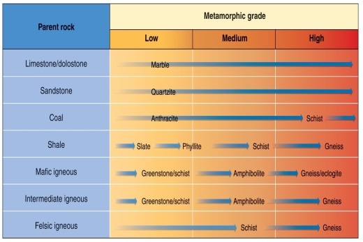 Figure 6.23   -Using Figure 6.23 from your textbook, choose the option that correctly matches parent rocks with possible metamorphic products. A)  shale: gneiss; marble: schist; mafic igneous: amphibolite B)  sandstone: quartzite; coal: phyllite; intermediate igneous: greenstone C)  shale: slate; limestone: marble; sandstone: quartzite D)  felsic igneous: greenstone; limestone: schist; dolostone: marble