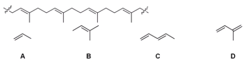 Which of the following is the monomer that gives the polymer shown below?     A)  A B)  B C)  C D)  D
