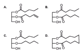 Which of the following compounds is not a hydrolyzable lipid?   A)  A B)  B C)  C D)  D
