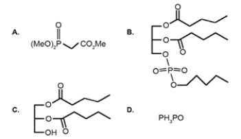 Which of the following is a phospholipid?   A)  A B)  B C)  C D)  D
