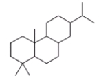 How many isoprene units are in the following molecule?   A)  1 B)  2 C)  3 D)  4