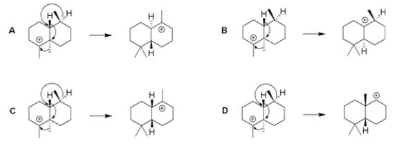 Which of the following sequences shows a reasonable series of 1,2-rearrangements as might be found in the biosynthesis of a steroid?   A)  A B)  B C)  C D)  D
