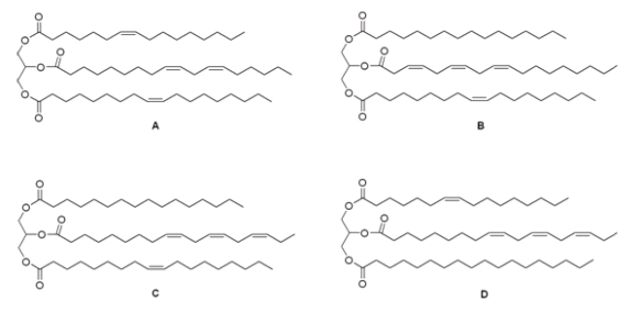 Triacylglycerol A yields compound B when treated with excess H<sub>2</sub>, Pd-C. Ozonolysis of A affords three molecules of compound C and one molecule of compound D. What is the structure of A?   Choices for Triglycerol A:   A)  A B)  B C)  C D)  D