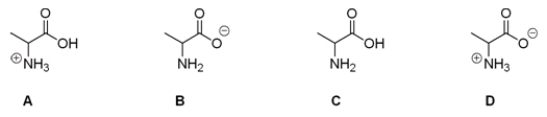 Which of the following is the correct structure for alanine at pH = 7?   A)  A B)  B C)  C D)  D