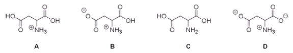 Which of the following is the correct structure for aspartic acid at pH = 1?   A)  A B)  B C)  C D)  D