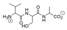 What amino acid is at the N-terminus of the following peptide?   A)  valine B)  serine C)  alanine D)  proline