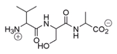 What amino acid is at the C-terminus of the following peptide?   A)  valine B)  serine C)  alanine D)  proline