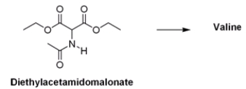 What is the appropriate sequence of reaction conditions used to synthesize valine from acetamidomalonic ester?   A)  (1)  NaOH; (2)  (CH<sub>3</sub>) <sub>2</sub>CHBr; (3)  Cl<sub>2</sub>, H<sub>2</sub>O, heat B)  (1)  NaOCH<sub>2</sub>CH<sub>3</sub>; (2)  (CH<sub>3</sub>) <sub>2</sub>CH<sub>2</sub>CHBr; (3)  HCl, H<sub>2</sub>O, heat C)  (1)  NaOCH<sub>2</sub>CH<sub>3</sub>; (2)  (CH<sub>3</sub>) <sub>2</sub>CHBr; (3)  HCl, H<sub>2</sub>O, heat D)  (1)  NaOH; (2)  CH<sub>3</sub>CH<sub>2</sub>CH<sub>2</sub>Br; (3)  HCl, H<sub>2</sub>O, heat