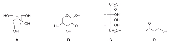 Which of the following compounds is an aldose?   A)  A B)  B C)  C D)  D