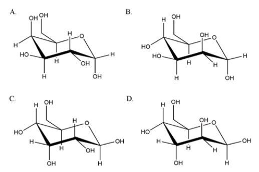 What is the correct chair form for the <font face= symbol ></font> anomer of D-mannose?   A)  A B)  B C)  C D)  D