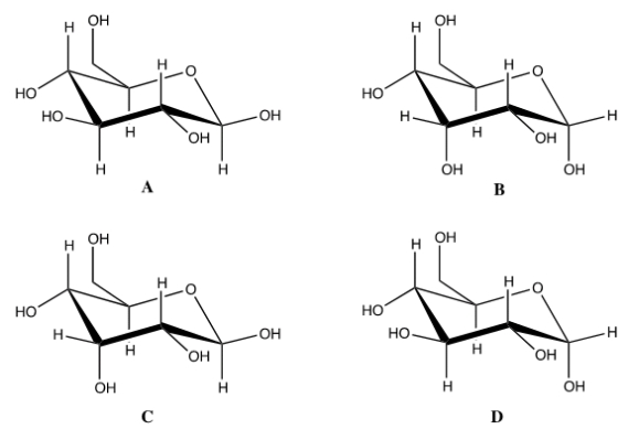  What is the correct chair form for the  \beta  anomer of D-glucose?   A)  A B)  B C)  C D)  D 