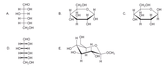 Which of the following compounds is not a valid representation for D-glucose?   A)  A B)  B C)  C D)  D E)  E