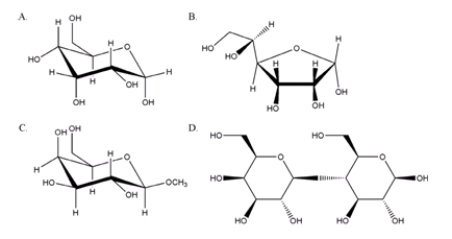 From the sugars shown below, which one is a non-reducing sugar?   A)  A B)  B C)  C D)  D
