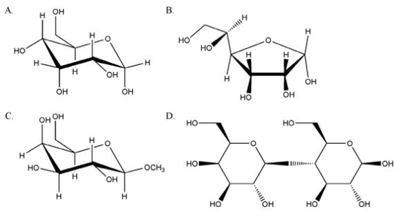 From the sugars shown below, which one will not give a positive test with Tollens reagent?   A)  A B)  B C)  C D)  D