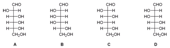 After a series of Kiliani-Fischer syntheses on D-glyceraldehyde, an unknown sugar was isolated from the reaction mixture. The following experimental data was obtained. What is the structure of this unknown sugar? Data: - Molecular formula: C<sub>6</sub>H<sub>12</sub>O<sub>6</sub> - Reacts with phenylhydrazine to give an osazone, mp 178°C. - Reacts with HNO<sub>3</sub> to give an optically active aldaric acid. - Wohl degradation followed by HNO<sub>3</sub> oxidation gives an optically inactive Aldaric acid. - Two Wohl degradations followed by HNO<sub>3</sub> oxidation give a meso-tartaric acid.   A)  A B)  B C)  C D)  D
