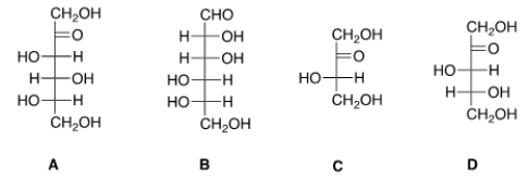 <strong>Which of the following sugars can be classified as a ketohexose?  </strong> A) A B) B C) C D) D <div style=padding-top: 35px> 