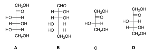 <strong>Which of the following sugars can be classified as a ketopentose?  </strong> A) A B) B C) C D) D <div style=padding-top: 35px> 